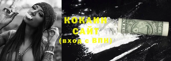 сатива Киренск