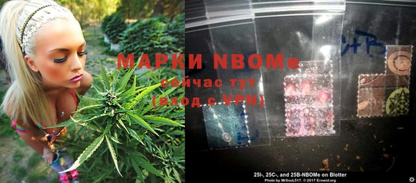 дмт Кинешма