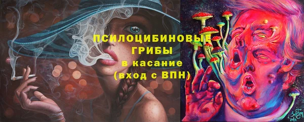 сатива Киренск