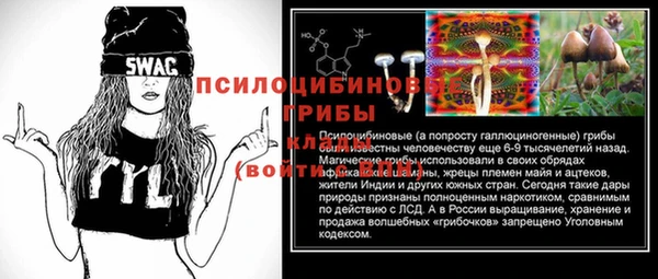 дмт Кинешма