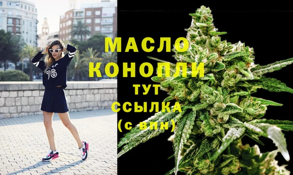 дмт Кинешма